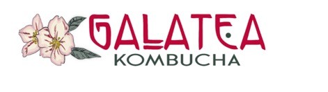 GALATEA-KOMBUCHA